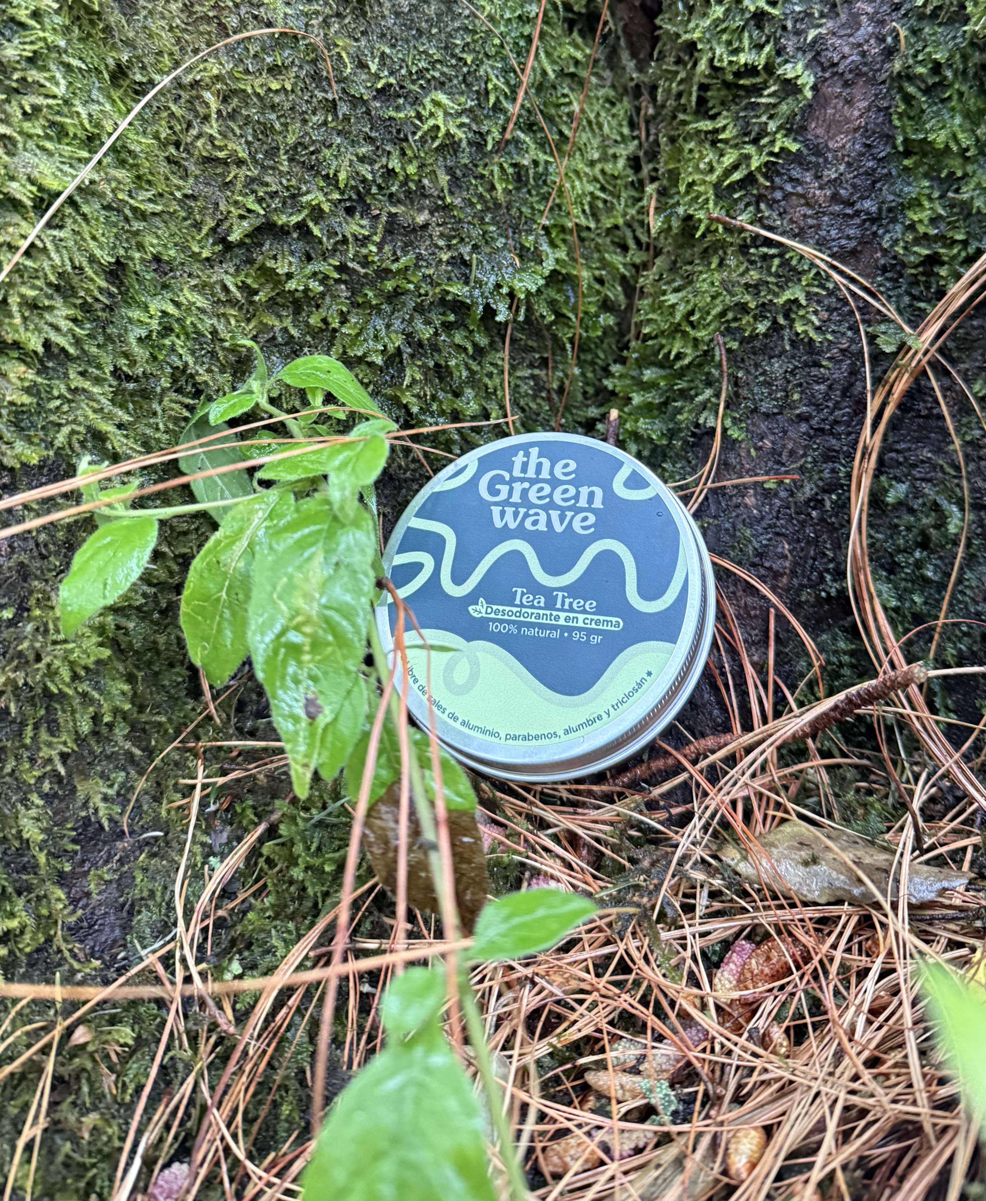 Hiking o Treking?